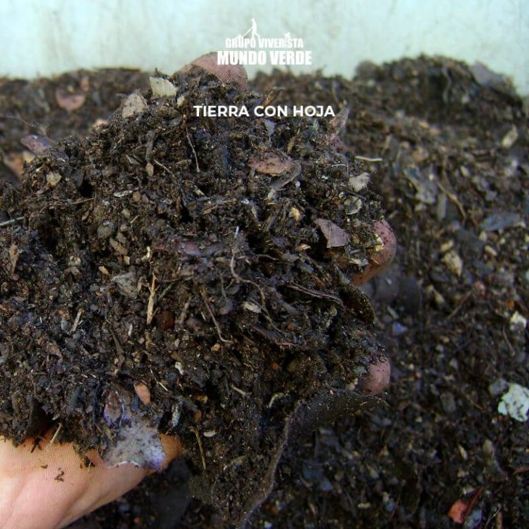Compra Tierra con hoja con envío gratis Grupo Viverista Mundo Verde