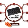 semillas 200 cavidad