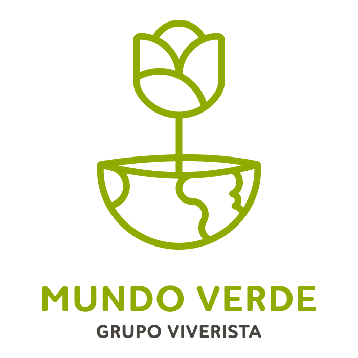 Compra Ave del paraíso con envío gratis | Grupo Viverista Mundo Verde